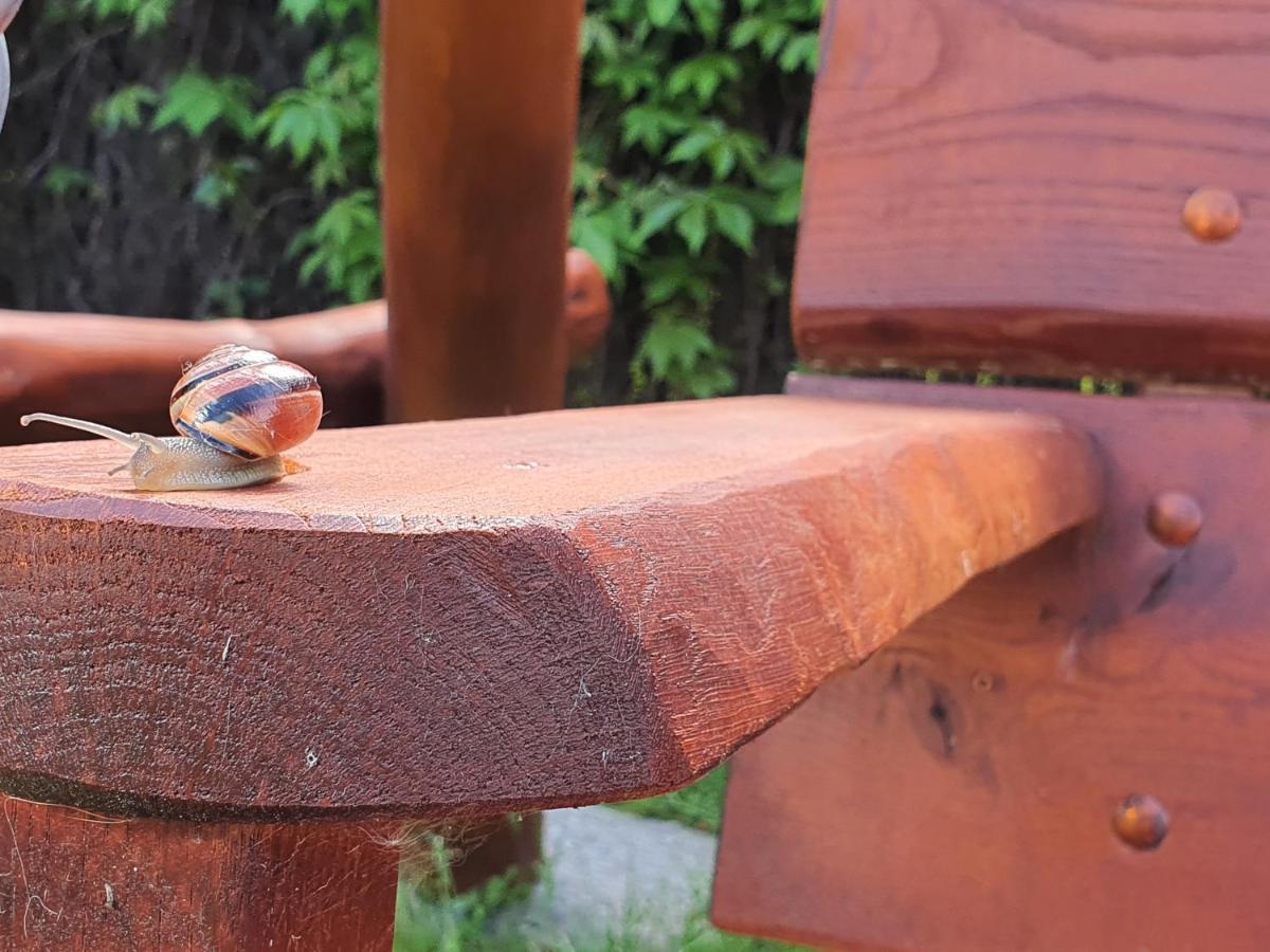 Pokoje U Gosi Węgorzewo Dış mekan fotoğraf
